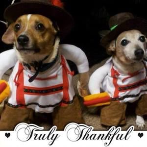 Meet your Posher, Judy